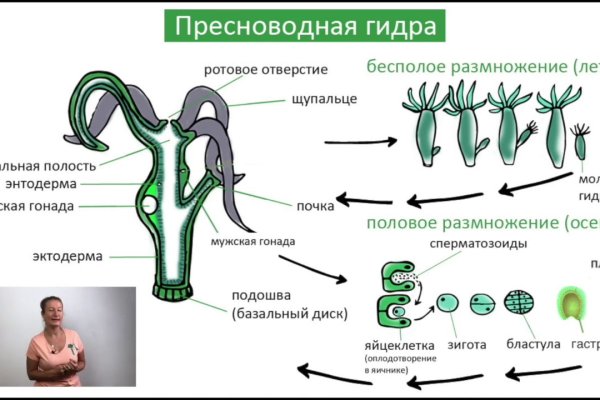 Официальный сайт кракен тор