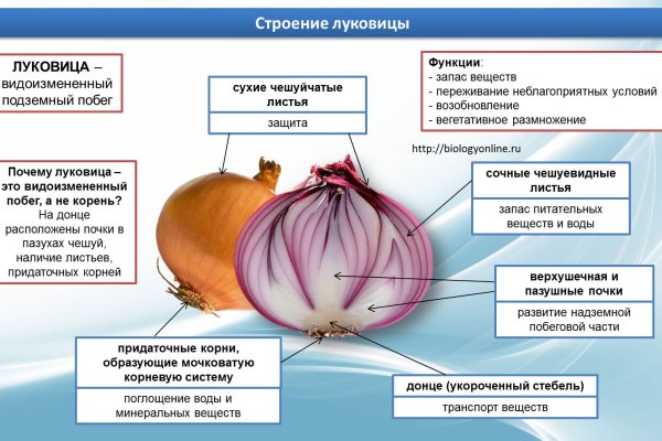 Кракен почему пользователь не найден