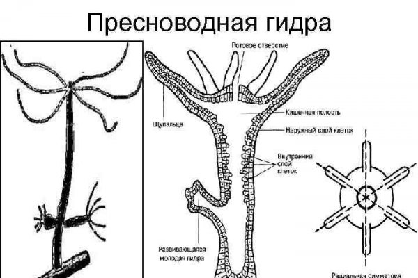 Кракен сайт 2krnk cc