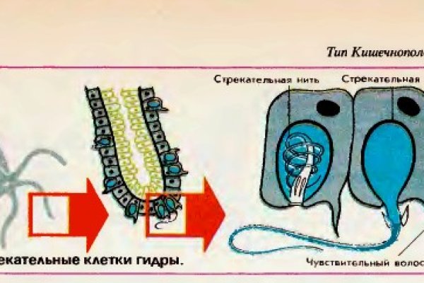 Кракен перестал работать